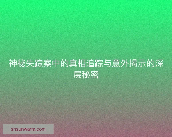 神秘失踪案中的真相追踪与意外揭示的深层秘密